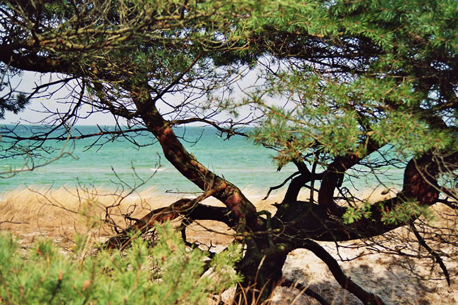 Düne am Strand